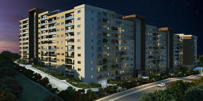 Project image 15