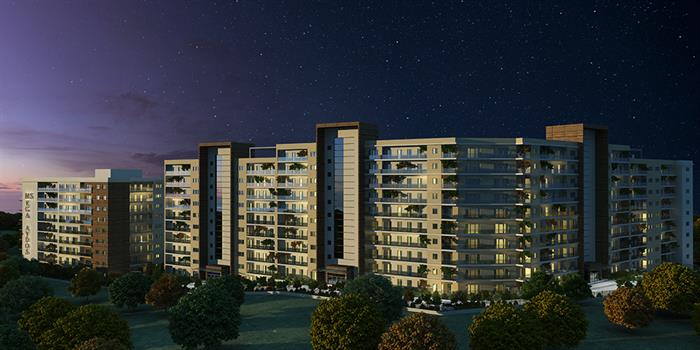 Project image 18