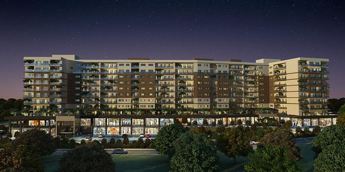 Project image 19