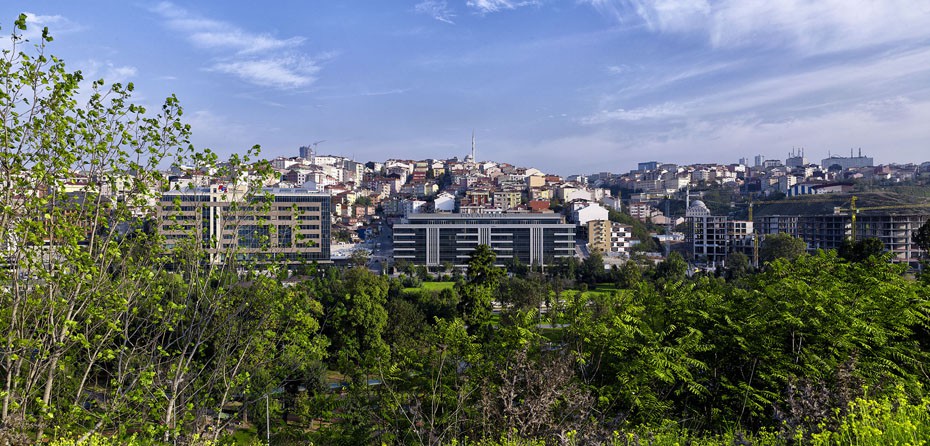 Project image 9