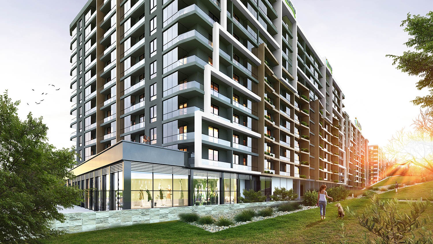 Project image 10
