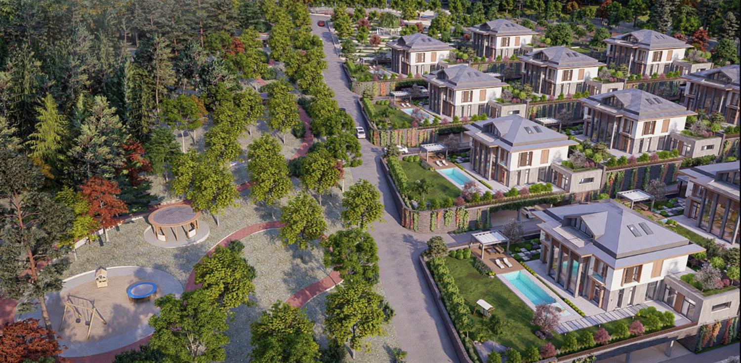Project image 13