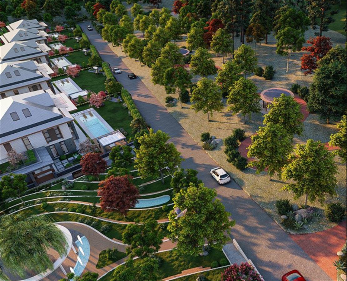 Project image 17