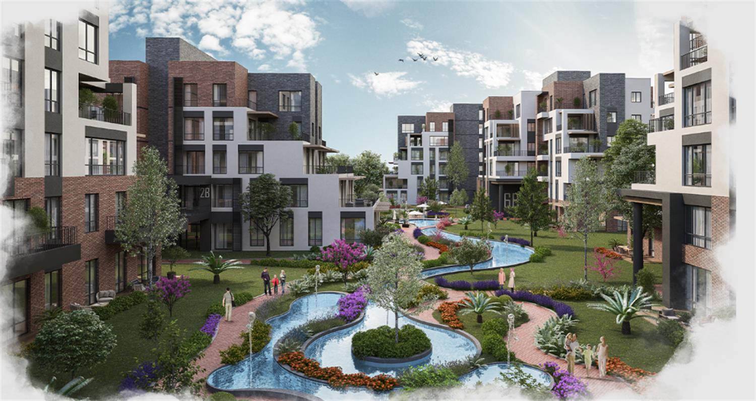 Project image 11