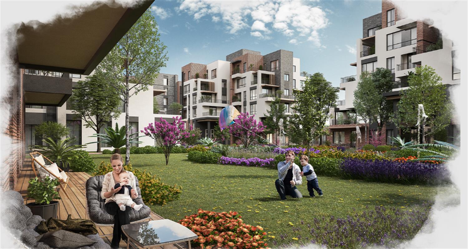 Project image 13