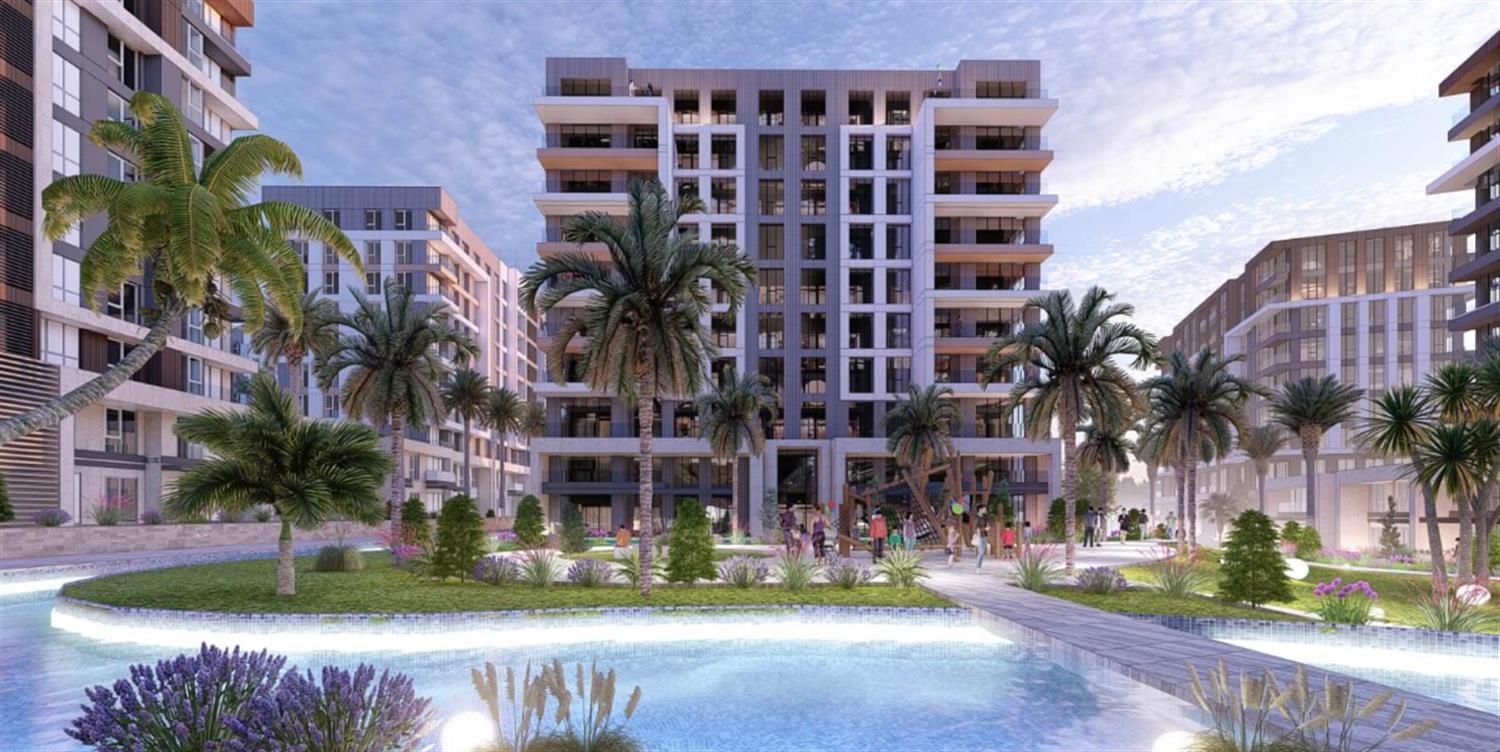 Project image 11