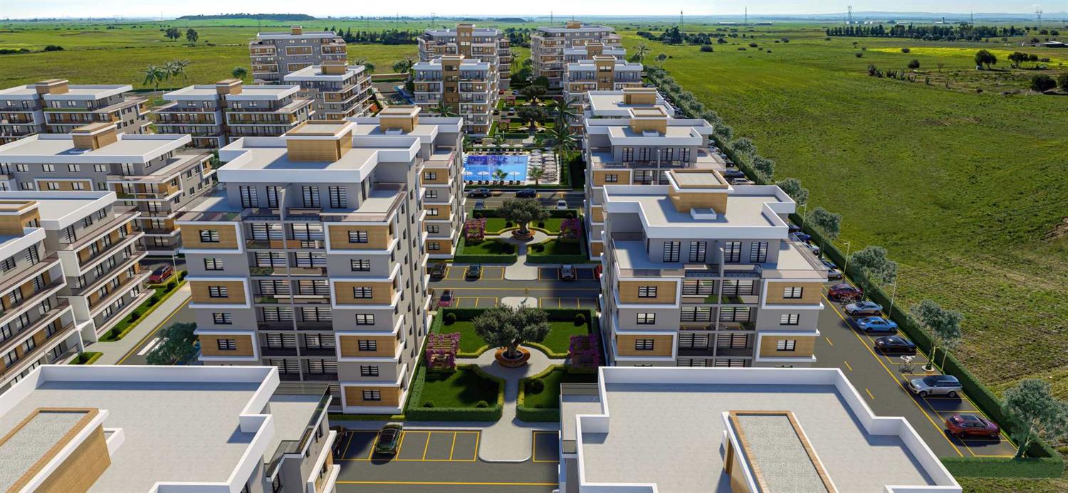 Project image 15