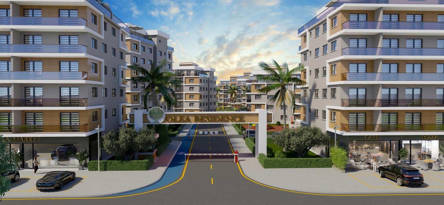Project image 19