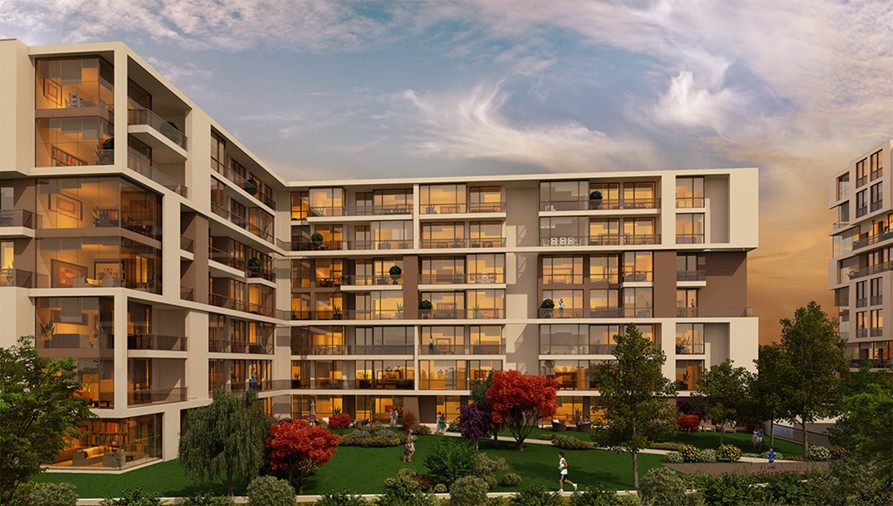 Project image 9