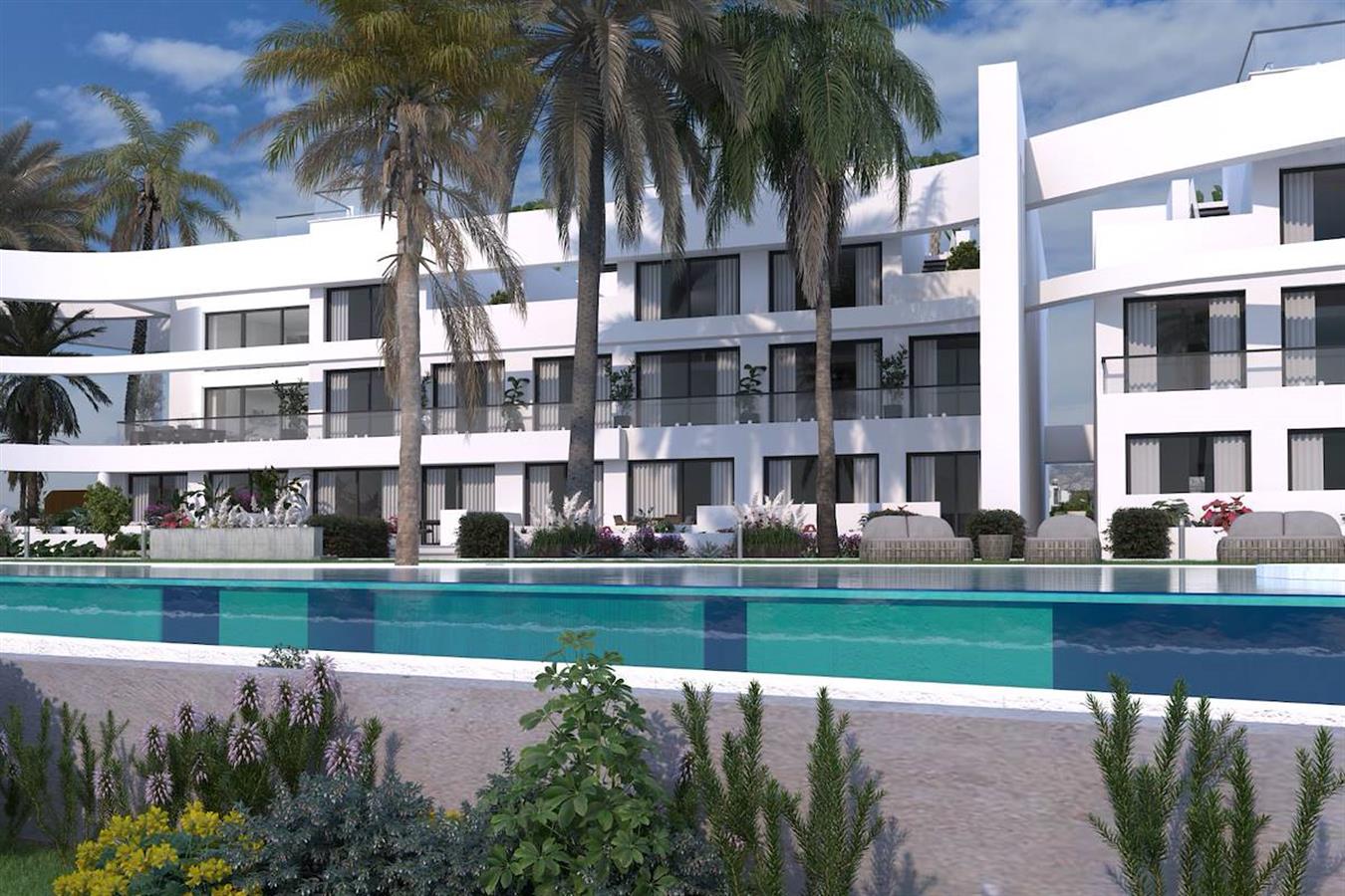 Project image 13
