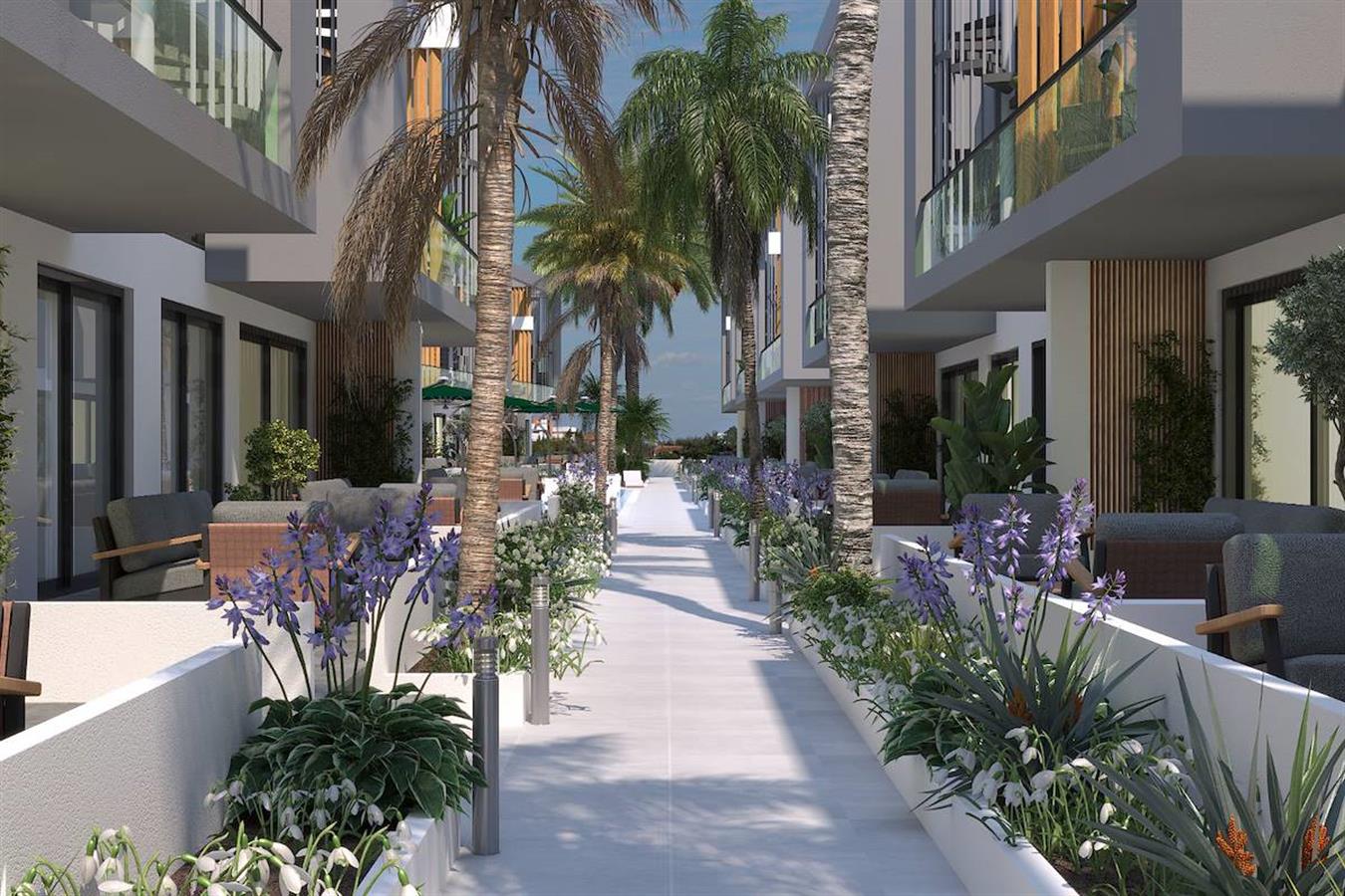 Project image 16