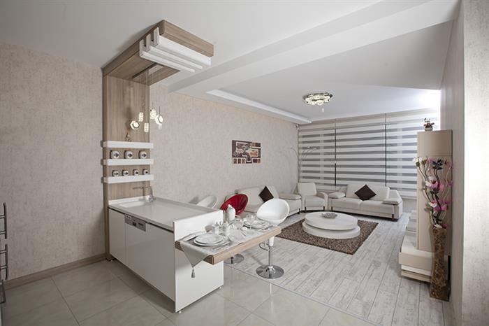 Project image 9