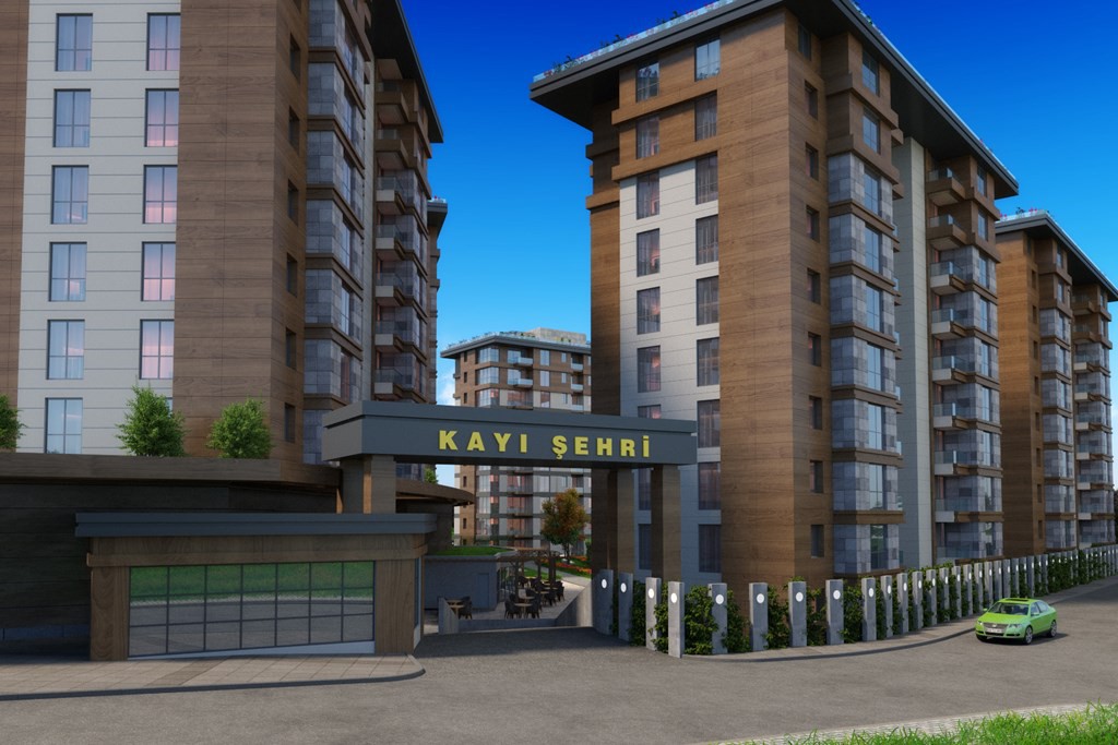 Project image 13