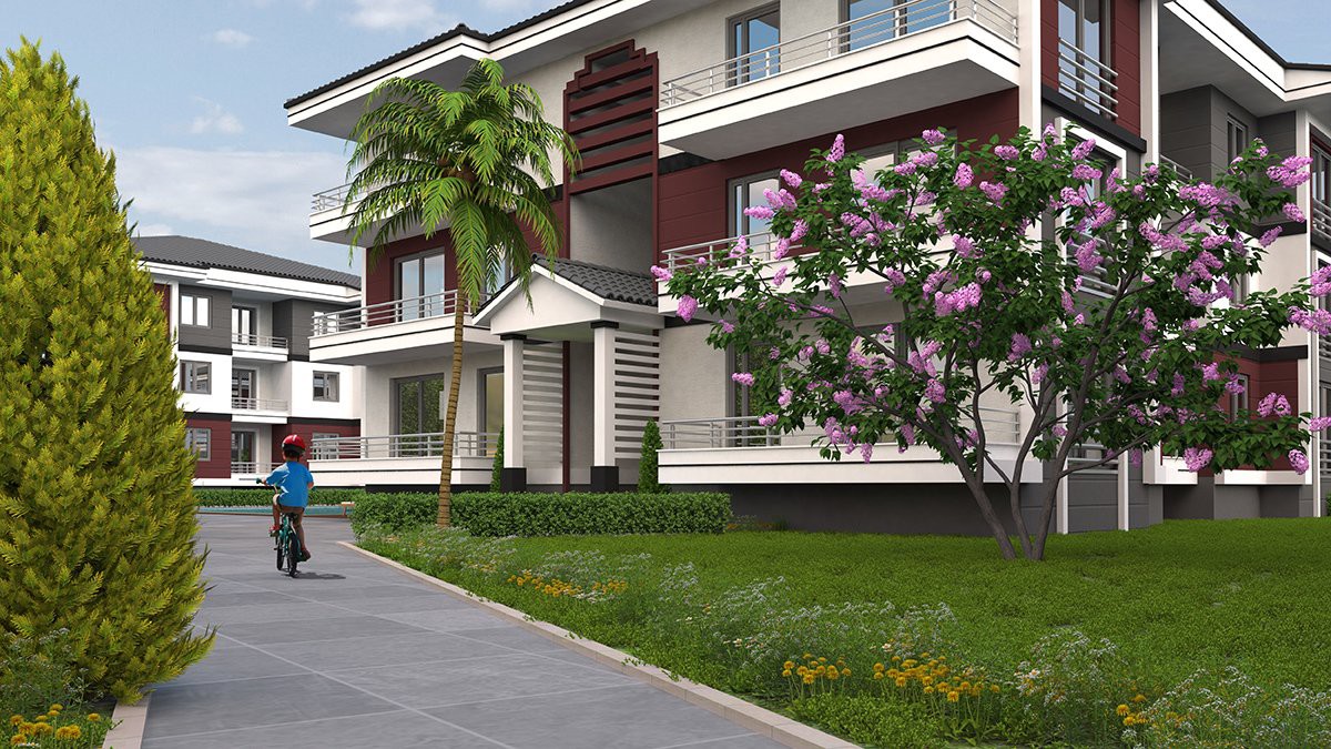 Project image 11