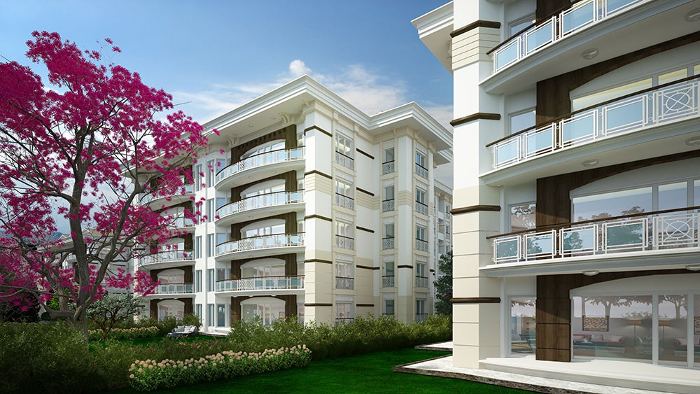 Project image 18