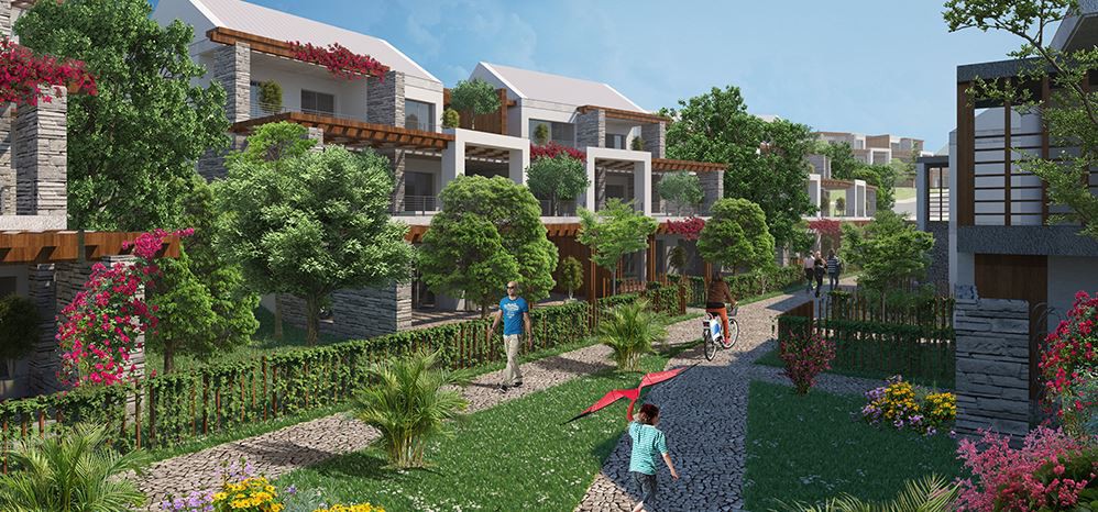 Project image 10