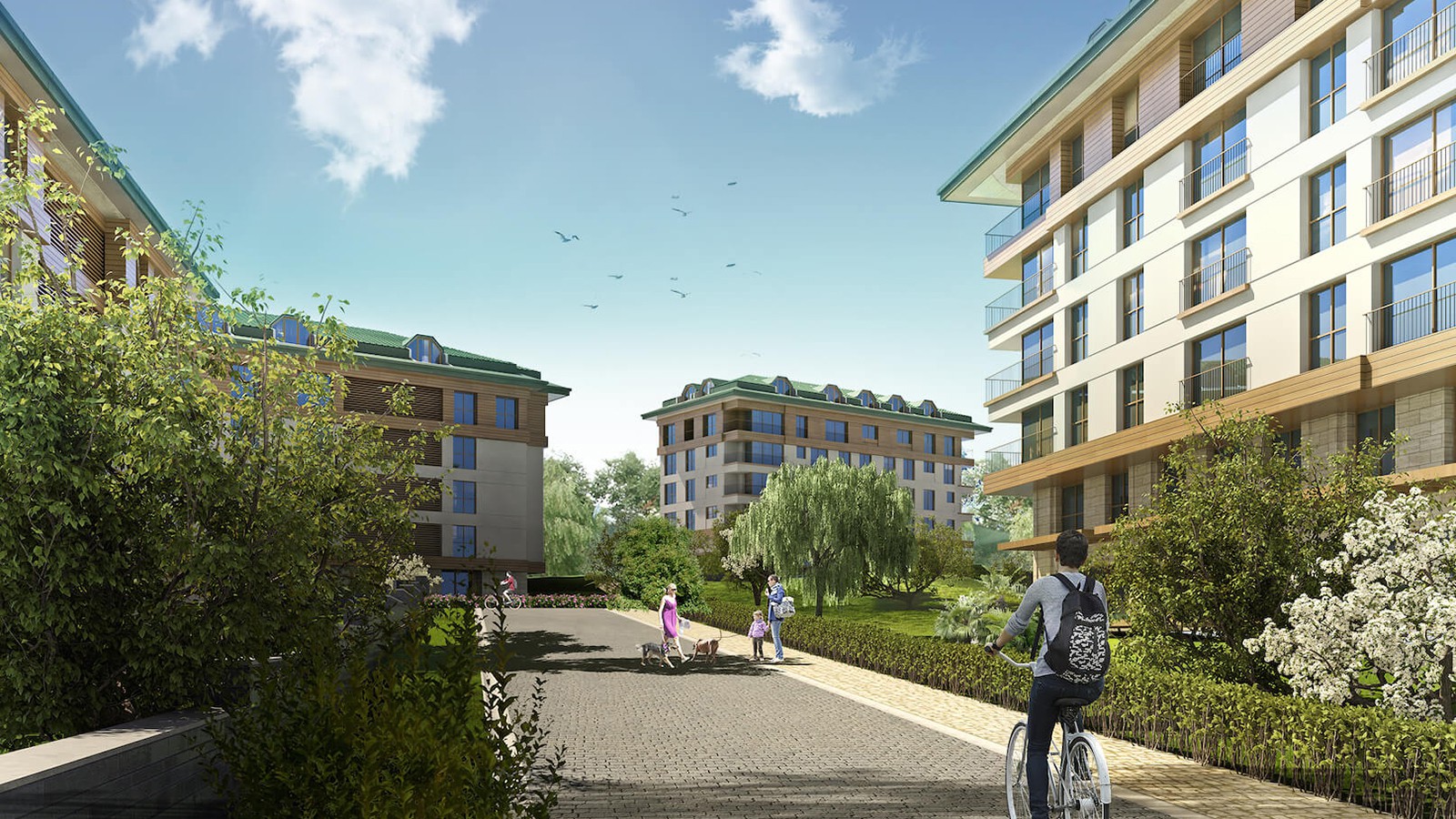 Project image 16