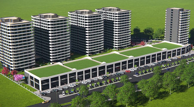Project image 13