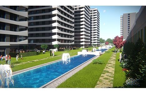 Project image 12