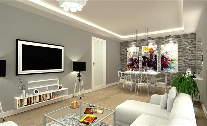 Project image 12