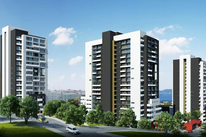 Project image 9
