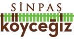 Project image 15
