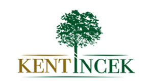 Project image 12