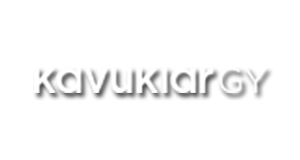 Project image 10