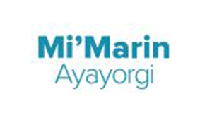 Project image 9