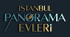 Project image 13