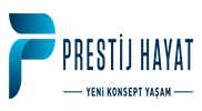 Project image 17