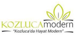 Project image 21